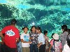 Okinawa5 044.jpg
